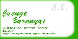 csenge baranyai business card